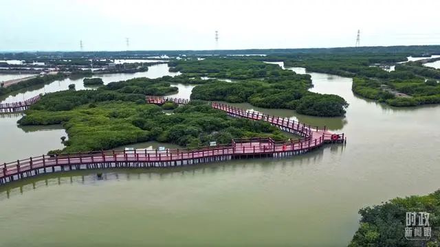 習(xí)近平湛江首行：從總書(shū)記考察足跡看“大國(guó)之重”(圖2)